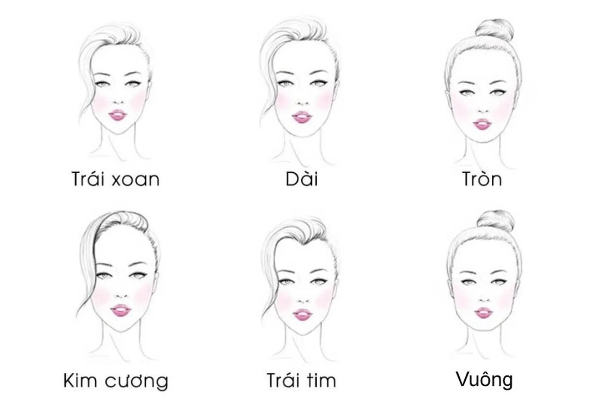 Minh họa 6 dáng khuôn mặt: tròn, dài, vuông, trái tim, oval, kim cương